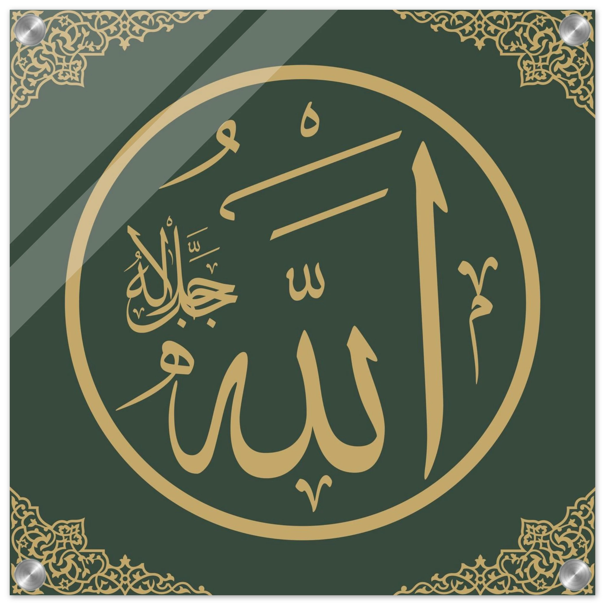 21f6a035-f2bf-4f88-8b3a-18199c240a26