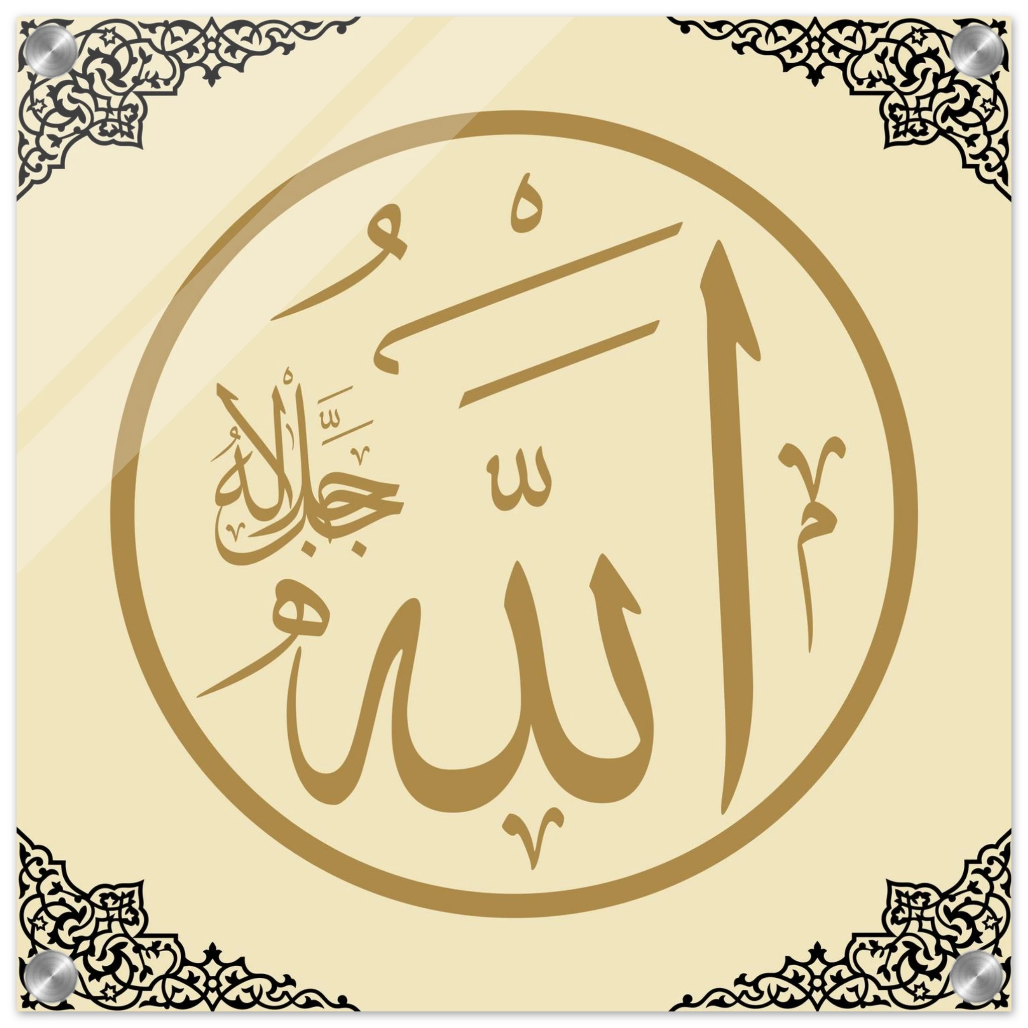 8e50b2a7-90bd-4f4a-bb9b-17e93101432d